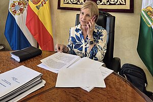 La alcaldesa ha mantenido una reunión telefónica con Endesa