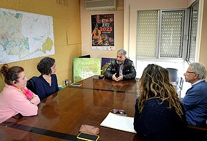 Comunidad felina