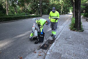 Archivo. El Ayuntamiento intensifica los controles del Virus del Nilo