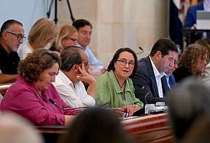 El Pleno aprueba el Plan Estratégico del Centro Comercial Abierto
