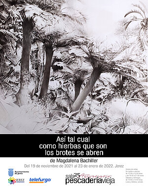 EXPOSICIÓN PINTURAS MAGDALENA BACHILLER