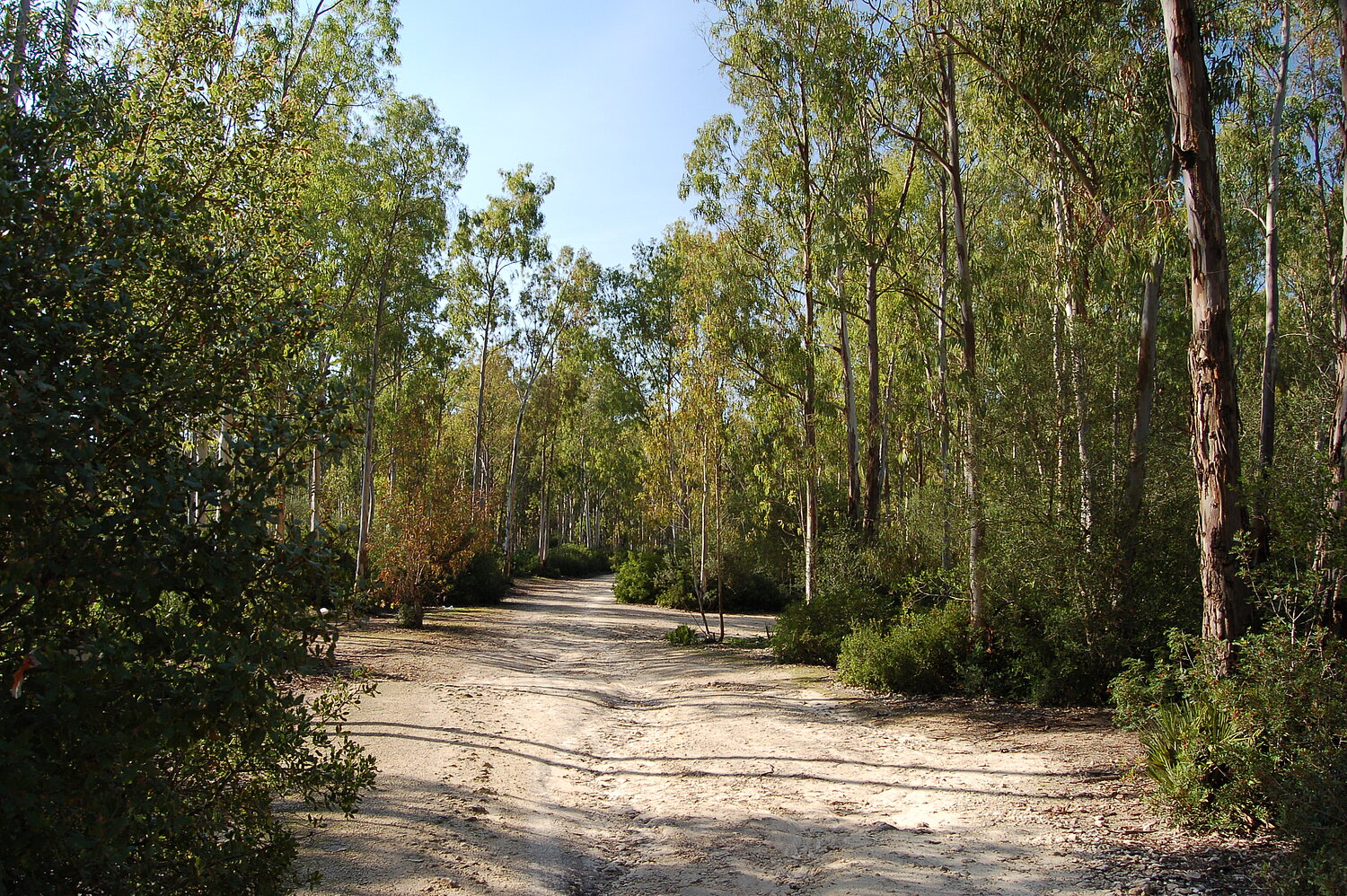 Parque de Las Aguilillas Imagen del Parque de Las Aguilillas 2