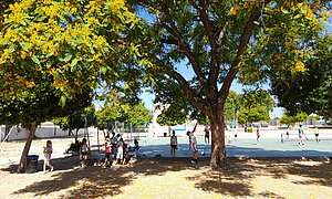 El alumnado del CEIP La Barca ha participado en actividades de concienciación de Medio Ambiente