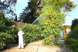 Se han reforzado las labores de fumigación en el Zoobotánico