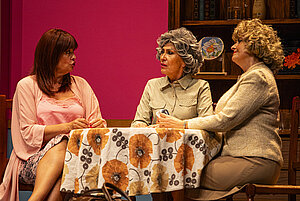 La obras 'Pensionistas' se pone en escena en el Villamarta