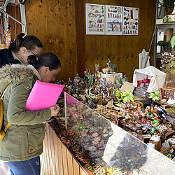 Mercado Navideño