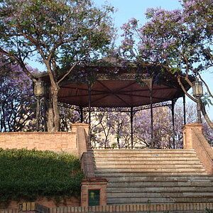 Alameda Vieja