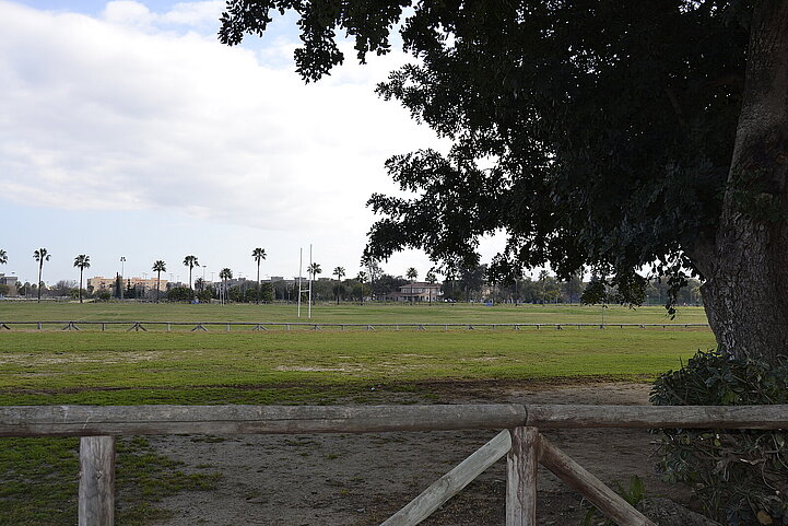 complejo deportivo