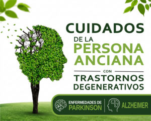 Oferta curso