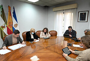 Junta de gobierno local