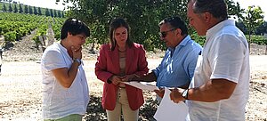La teniente de alcaldesa de Medio Rural visita las obras de mejora de una ruta enoturística