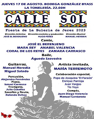 Calle Sol