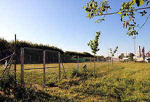 Centro de Protección Animal