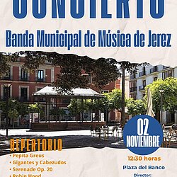 Concierto  banda musica