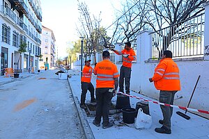 El Ayuntamiento está acometiendo la plantación de árboles en la calle Santo Domingo