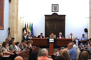 Fotografía del pleno