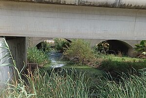 El Ayuntamiento sigue controlando el entorno de la Laguna de Medina