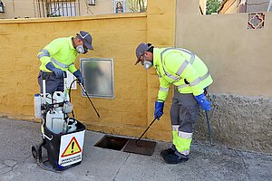 Trabajadores realizando las labores del control de plagas