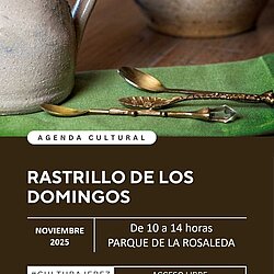 rastrillo noviembre