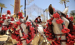 El lunes se abre el plazo para el Paseo de Caballistas de la Feria 2026