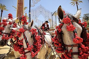 El lunes se abre el plazo para el Paseo de Caballistas de la Feria 2026