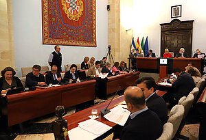 Sesión ordinaria del pleno