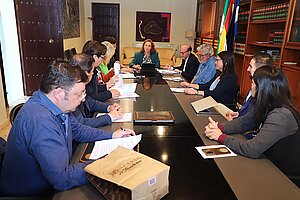 La delegada de Urbanismo preside la comisión de patrimonio