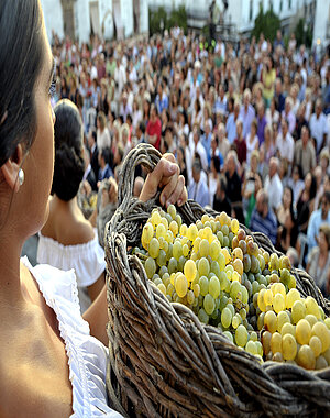 Fiestas Vendimia de Jerez 2021