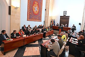 La alcaldesa preside la Junta Local de Seguridad