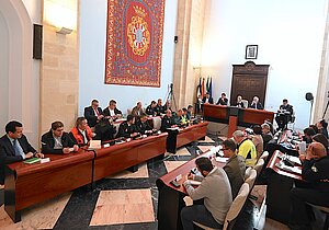 La alcaldesa preside la Junta Local de Seguridad