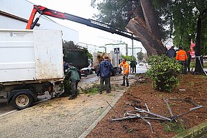 La Junta de Gobierno Local adjudica el nuevo contrato de parques y jardines