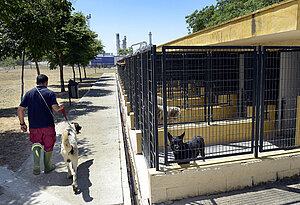 Centro Municipal de Protección Animal (CMPA)