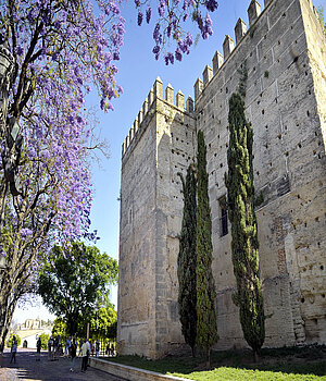 Inmediaciones del Alcázar de Jerez 