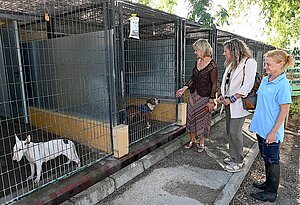 Carmen Pina ha visitado el Centro de Protección Animal