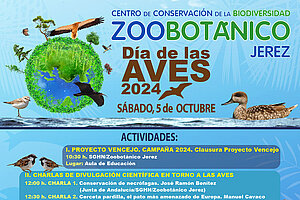 Cartel de la actividad