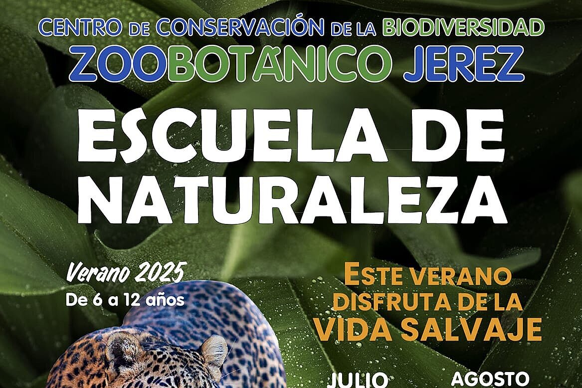 La Escuela de Verano vuelve al Zoobotánico