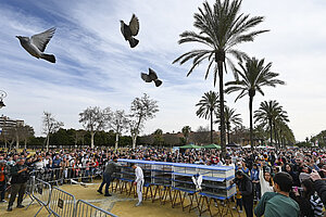 El Ayuntamiento cancela la celebración de San Antón y programa una fiesta de mascotas