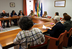 Declaración de Zona de Gran Afluencia Turística a Jerez