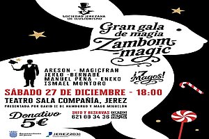 Cartel Gran Gala de Magia