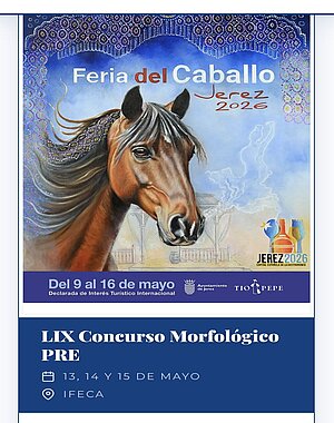 Concurso morfológico PRE