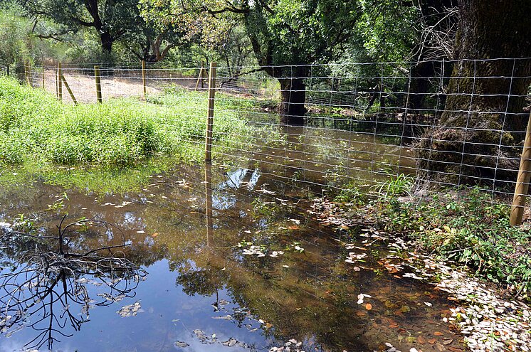 manantial del parral