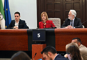 La alcaldesa durante el pleno ordinario de marzo