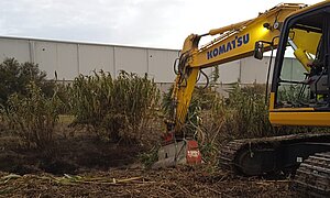 El Ayuntamiento está procediendo a la limpieza del canal de Guadalcacín