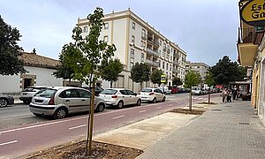 La intervención de la calle Porvenir ha terminado con la plantación de 12 árboles