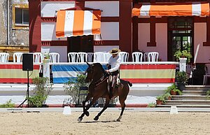 Belleza y calidad en las pruebas ecuestres