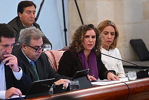 Archivo. Susana Sánchez ha respondido a una pregunta del Grupo Municipal Socialista sobre La Guareña