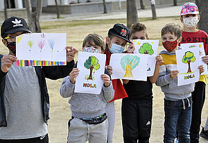 Plantación de árboles en colegios