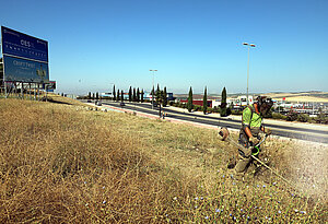 Medio Ambiente acomete la limpieza de solares