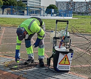 Protección Animal hace balance de las intervenciones realizadas en 2025