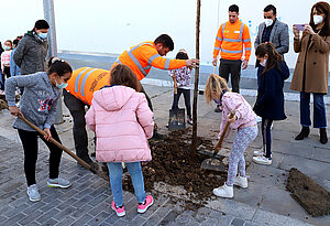 VII Campaña Plantación Arbolado